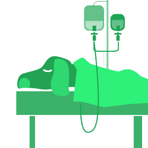 Hospitalización