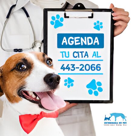 Agenda tu cita