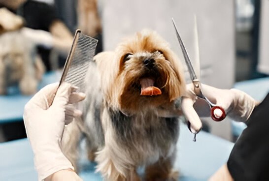 Peluquería
